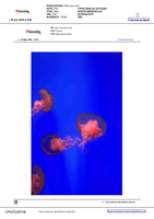 Coverage item thumbnail