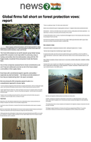 Coverage item thumbnail