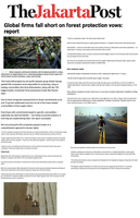 Coverage item thumbnail