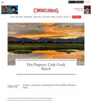 Coverage item thumbnail