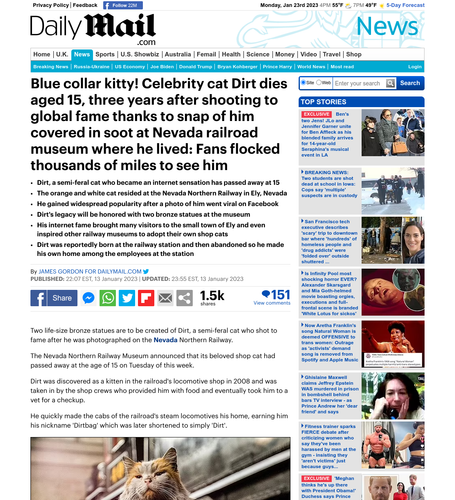 Coverage item thumbnail