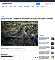 Coverage item thumbnail