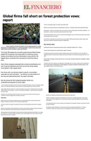 Coverage item thumbnail
