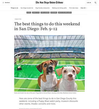 Coverage item thumbnail