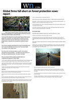 Coverage item thumbnail
