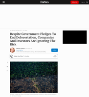 Coverage item thumbnail