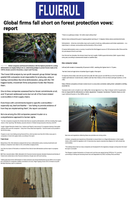 Coverage item thumbnail