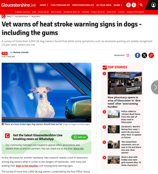 Coverage item thumbnail
