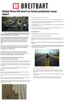 Coverage item thumbnail