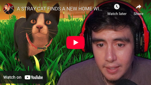 Coverage item thumbnail