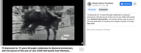 Coverage item thumbnail