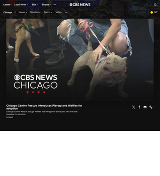 Coverage item thumbnail