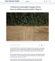 Coverage item thumbnail