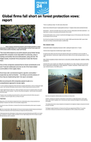 Coverage item thumbnail